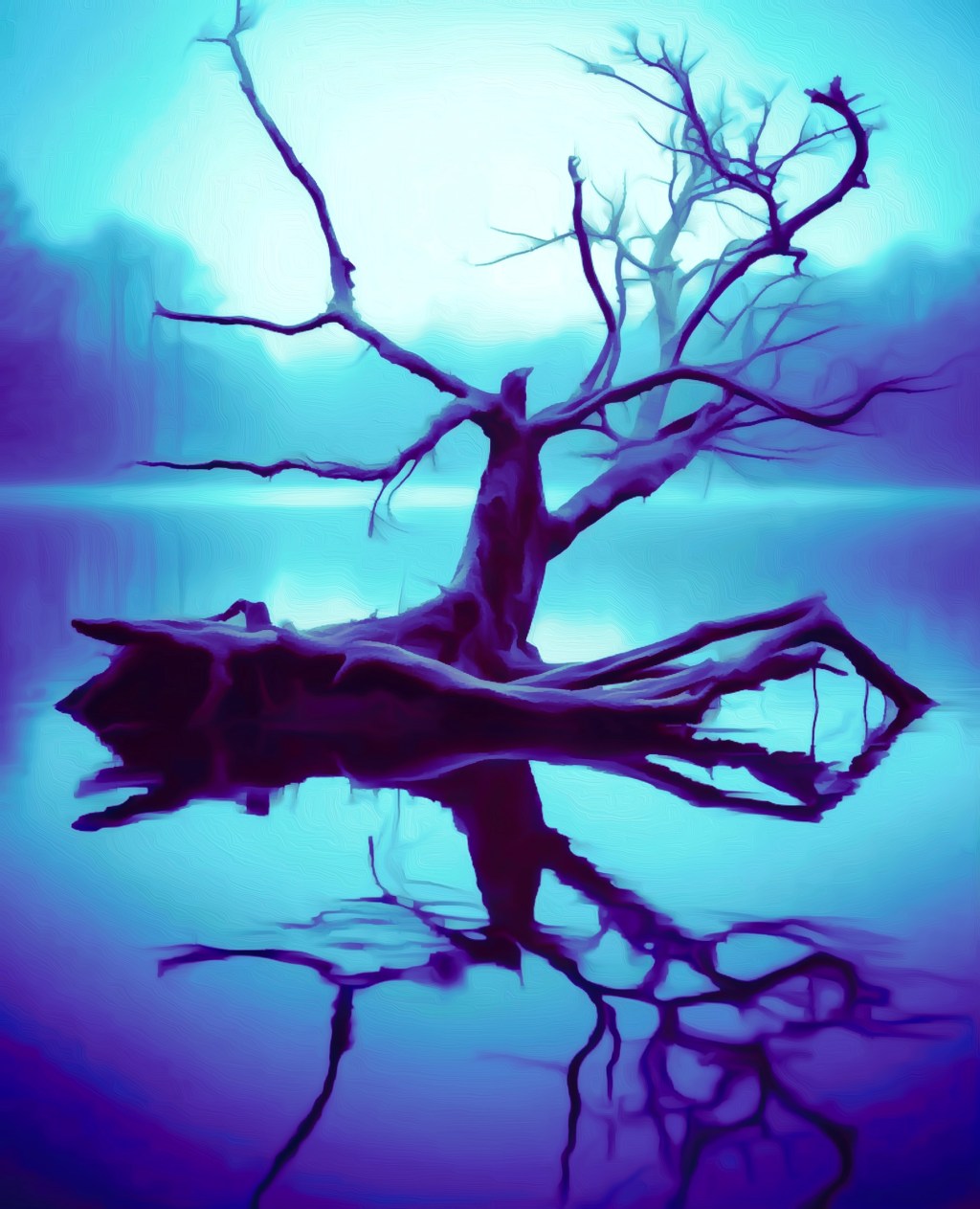 Reflections of Twilight