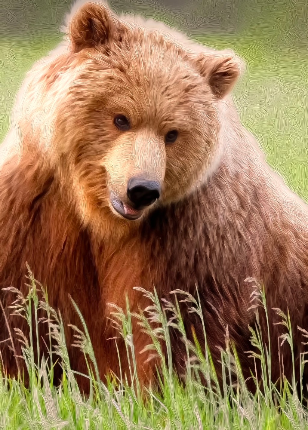 Bears are MINDFUL, not&nbsp;demure…