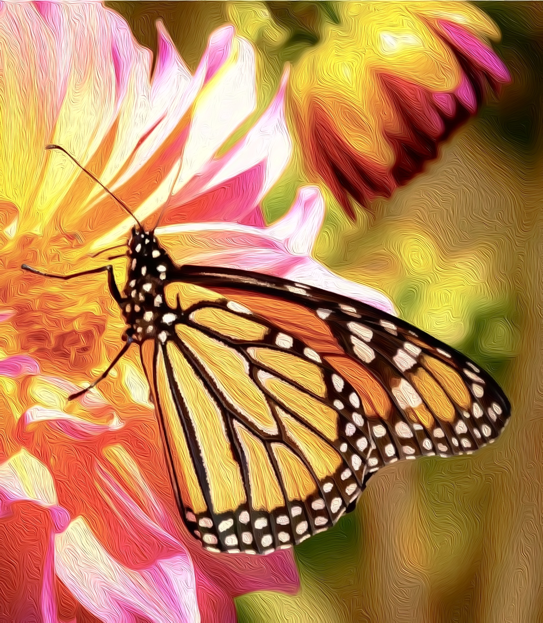 METAMORPH: Transform like a butterfly