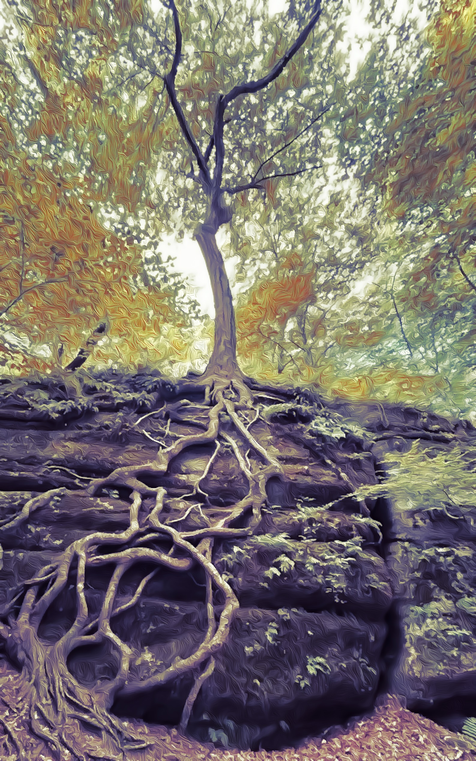 Roots of Life