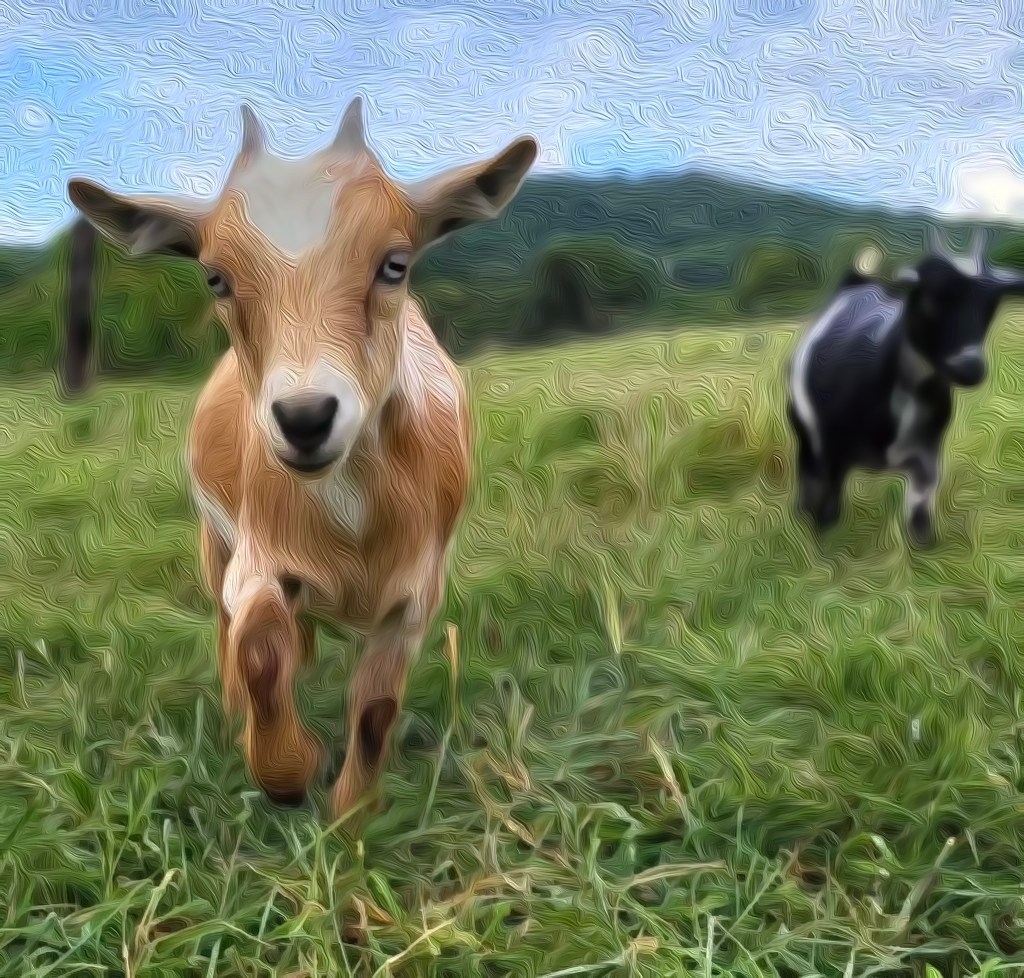 GOAT-Greatest of ALL&nbsp;Time