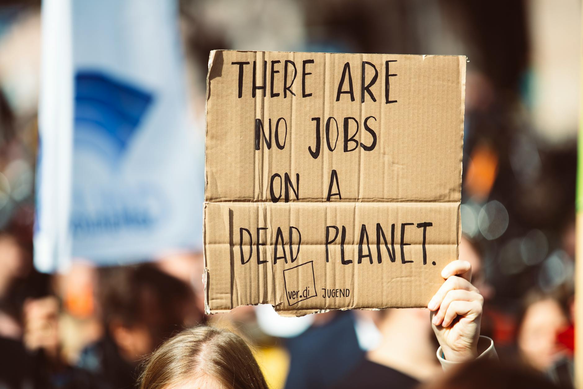 How the Elite Use Politics to Divide Us—And What We Can Do About It
