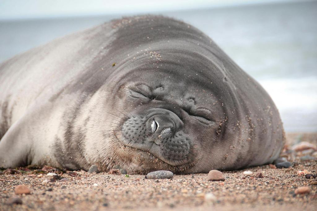 Sloth vs. Diligence: Embracing Purpose Without&nbsp;Exhaustion