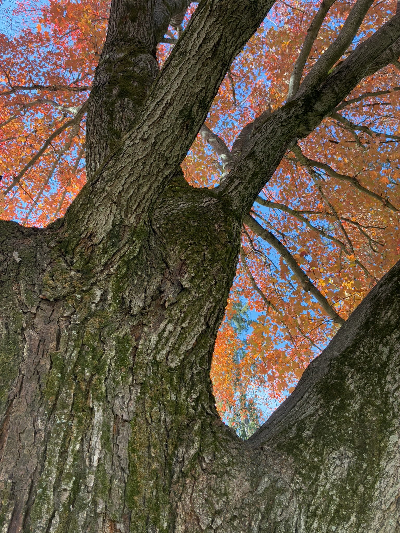 A Slow Fall Weekend at Mill Creek Park: When Summer Lingers in Ohio