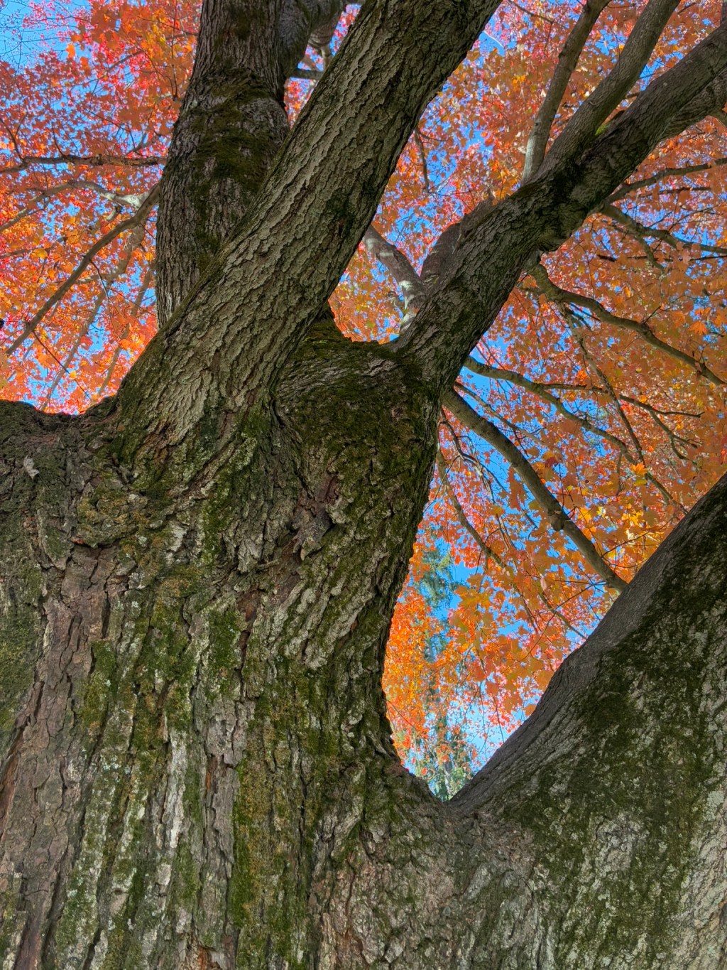 A Slow Fall Weekend at Mill Creek Park: When Summer Lingers in Ohio